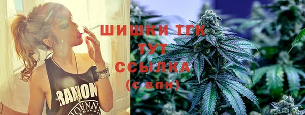 гидропоника Белокуриха