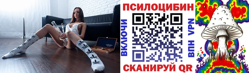 как найти   Семикаракорск  Галлюциногенные грибы мухоморы 